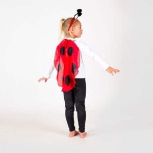 ladybug costume